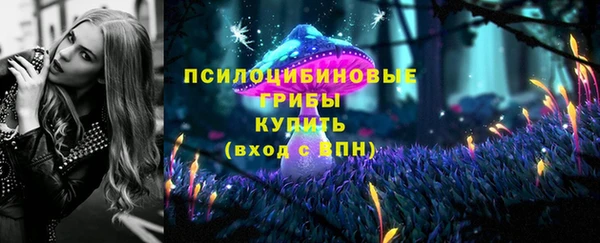 герыч Ивангород