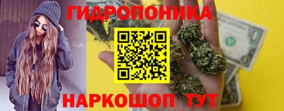 мяу мяу мука Гусь-Хрустальный