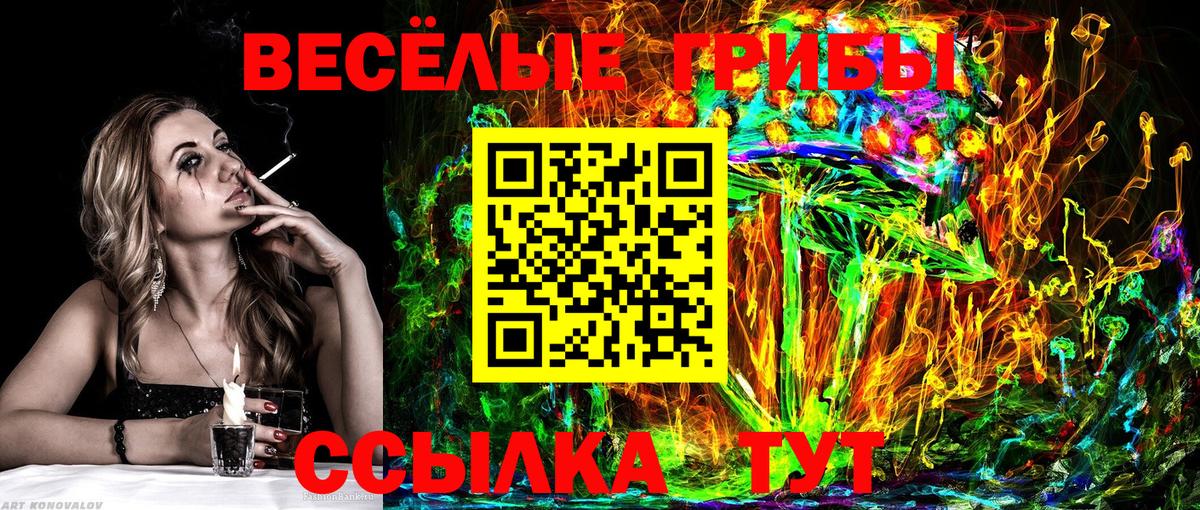 Галлюциногенные грибы Psilocybine cubensis  Вход с VPN  Малгобек 